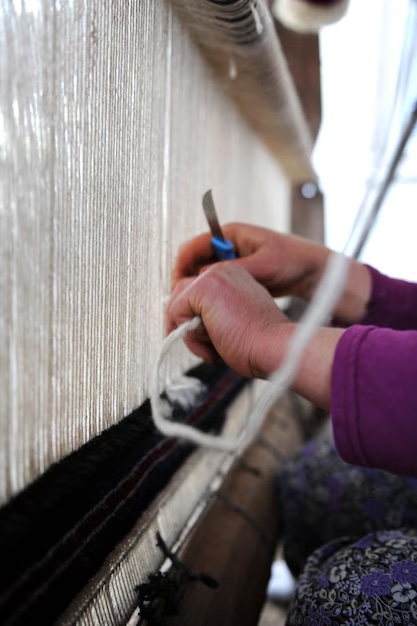 Rug re-fringing and Binding